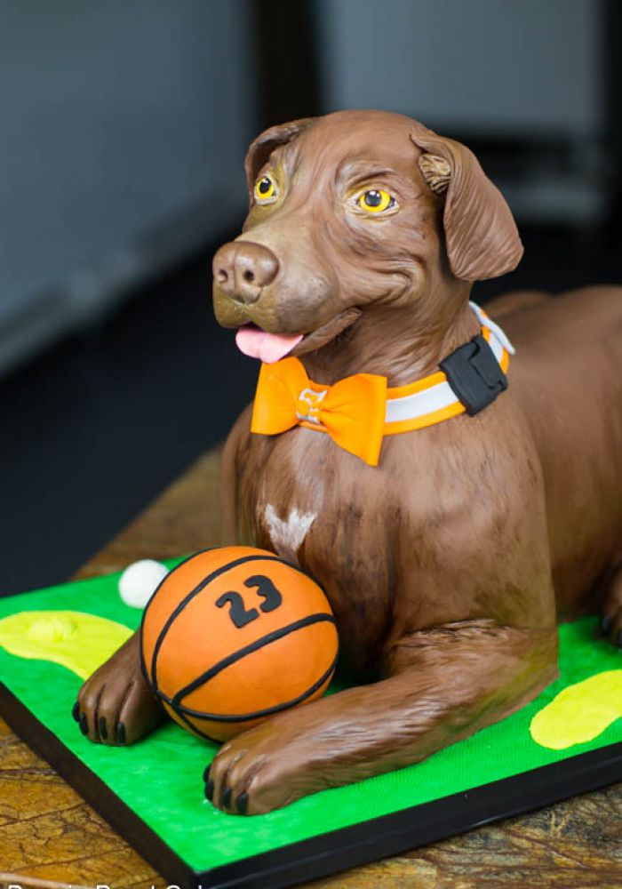 Tennessee Volunteers Sculpted Dog Grooms Cakes